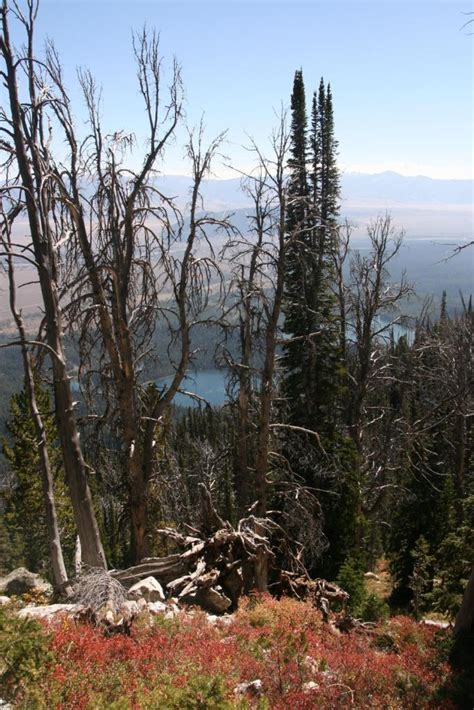 Grand Teton - Amphitheater Lake Trail | Lonesome Wood Trails