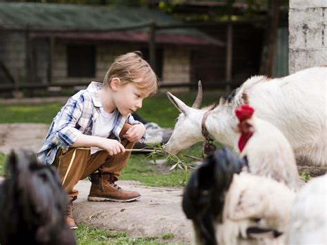 Free Photo | Little kid playing with farm animals