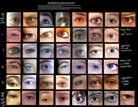 Human Eye coloUr chart by Delpigeon | Eye color chart, Eye color change, Eye color chart genetics