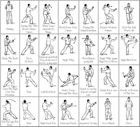 A Beginners Guide to the Tai Chi Short Form – Styles, Moves, and How to Practice