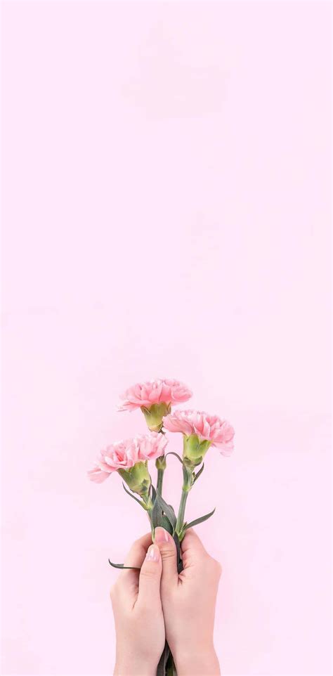 Free Aesthetic Baby Pink Wallpaper Downloads, [100+] Aesthetic Baby Pink Wallpapers for FREE ...