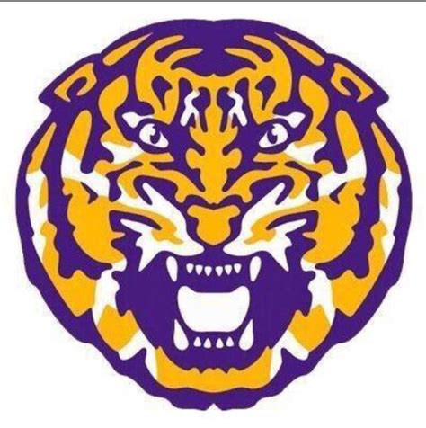 LSU should add the tiger head logo to its end zones | Tiger Rant