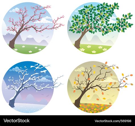 Four seasons Royalty Free Vector Image - VectorStock