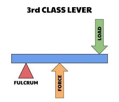 Second Class Lever Examples.Compound Levers Procedure A Compound Lever Consists Of One Lever ...