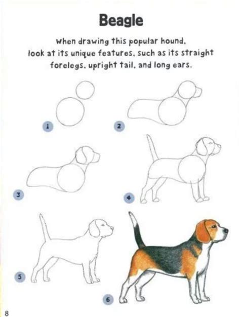 How to draw a Dog Step By Step Easily (35 Ideas)