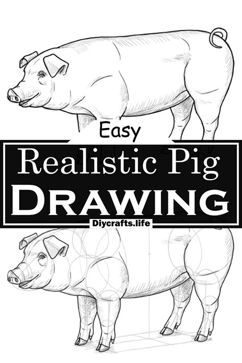 26 Easy Pig Drawing Ideas - Step By Step Guide - DIY Crafts