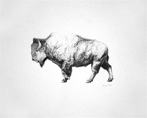 January Waters: Buffalo, in pencil, 2012