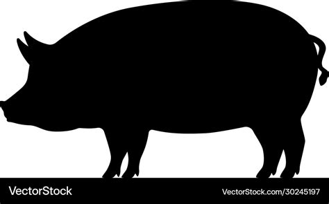 Pig silhouette Royalty Free Vector Image - VectorStock