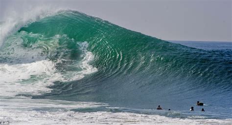 Surfing Newport Beach Newport New South Wales Australia