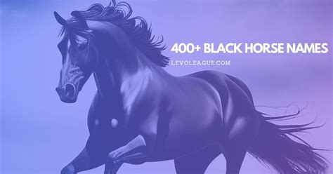 400+ Black Horse Names: A Comprehensive Guide for Your Dark Beauty