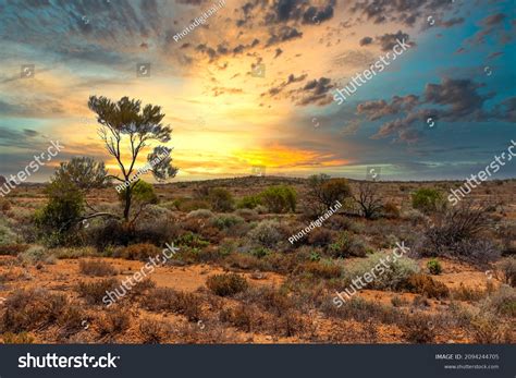 4 679 Hot Australian Outback Images, Stock Photos & Vectors | Shutterstock