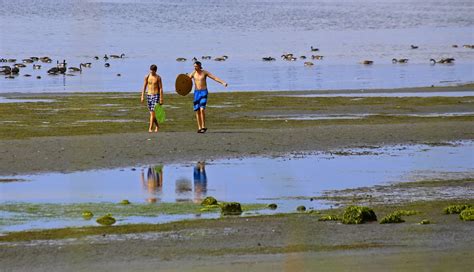 Friends Walking On The Beach Men - Free photo on Pixabay