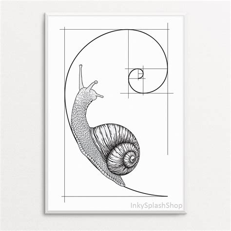 Snail on Fibonacci Spiral Wall Art Printable Golden Ratio | Etsy India