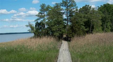 York River State Park Features An Awesome Boardwalk Hike