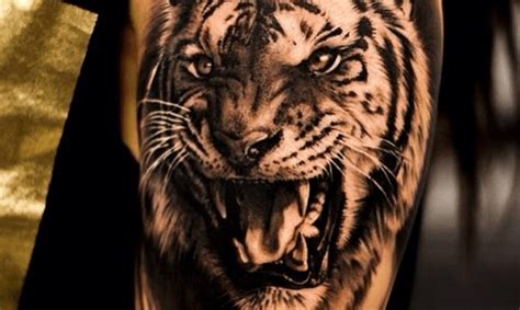 15+ Angry Tiger Tattoo Designs and Ideas - PetPress