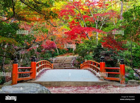 beautiful Japanese garden with traditional bridge, autumn travel background Stock Photo - Alamy