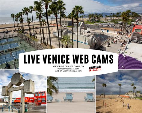 View Venice now with these live cams! – Venice Paparazzi | Venice Beach CA, Photo Agency ...