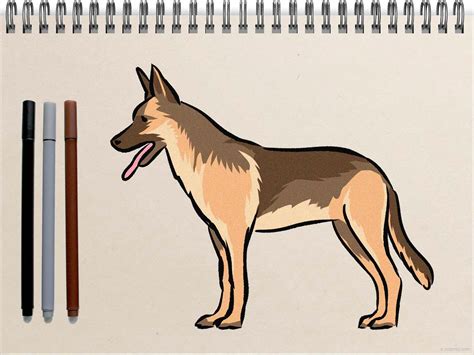 Easy Dog Drawing » How to draw a Dog Step by Step