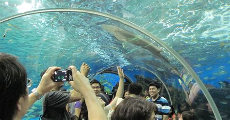 Manila Ocean Park Attractions