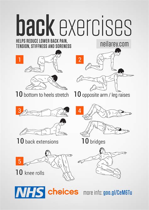 Back Strengthening Exercises: Lower Back Strengthening Exercises Gym