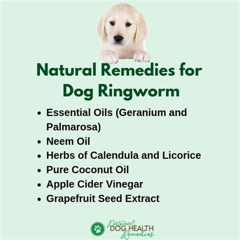 Is Ringworm In Dogs Painful