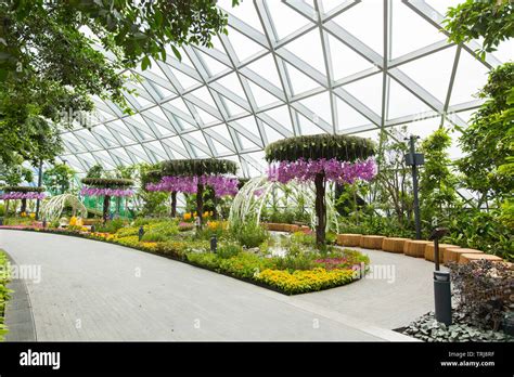 View of Canopy Park at Jewel Changi Airport, Singapore Stock Photo - Alamy