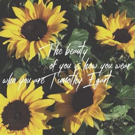 Pin by Kim Hopkins on Quotes I like | Sunflower quotes, Flower quotes, Sunflower pictures