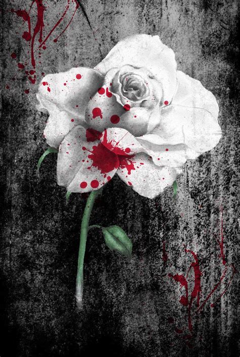 Blood Rose Wallpapers - Top Free Blood Rose Backgrounds - WallpaperAccess