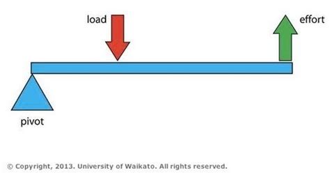 Pivot diagram of a Class 2 lever — Science Learning Hub