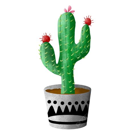 Cute Cactus, Cactus, Plant, Cute PNG Transparent Clipart Image and PSD File for Free Download