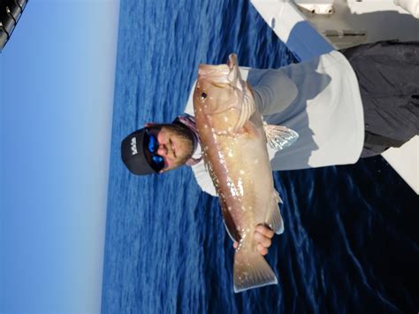 Pensacola Beach Fishing Report 01-20-18 | Pensacola Fishing Forum