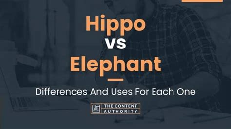 Hippo vs Elephant: Differences And Uses For Each One