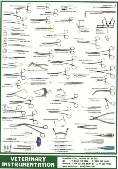 Types Of Surgical Instruments And Their Uses Pdf