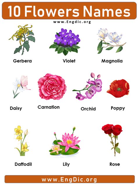 10 Flowers names with Pictures, Flowers names list | Flower images with name, 10 flowers name ...