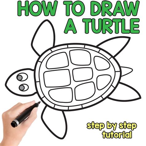 How To Draw A Turtle Step By Step