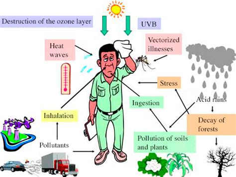 Air Pollution And Its Effects On Human Health