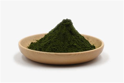 Organic Chlorella Powder manufacturer | supplier - BULKSUPERFOOD