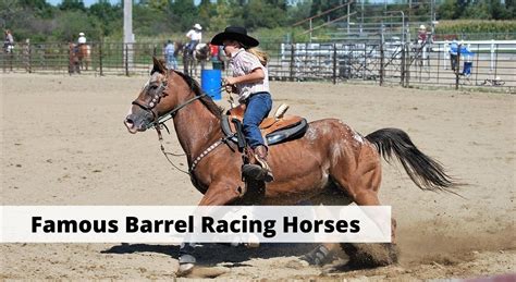 7 Most Famous Barrel Racing Horses in History