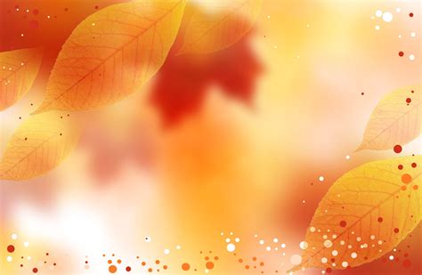 🔥 [32+] Fall Wedding Backgrounds HD Wallpapers | WallpaperSafari