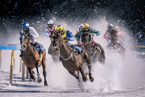 Esportebet em corridas de cavalos: tipos, análise e estratégias de jogo — Beer Art - Portal da ...