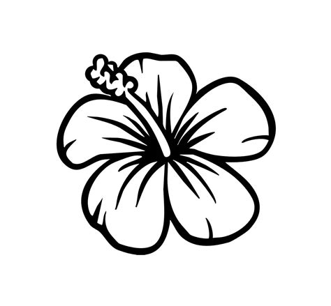 Hibiscus Flower Drawing - ClipArt Best