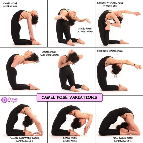 CAMEL POSE VARIATIONS – Elena Miss Yoga