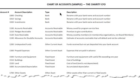 Nonprofit Chart Of Accounts Template