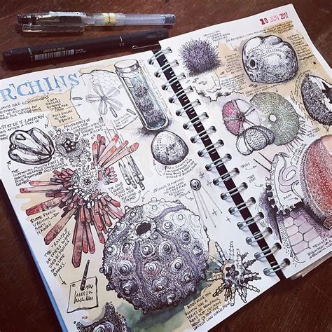 Sketchbooks | duncancameron | Sketch book, Sketchbook journaling, Sketchbook inspiration