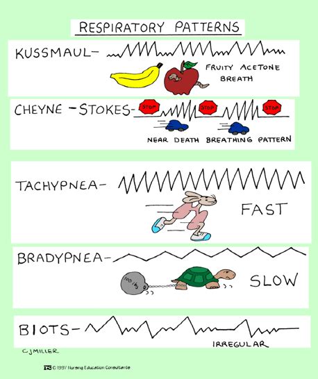 Nursing Mnemonics Respiratory Patterns