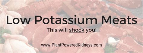 Low Potassium Meats & Fish for a Renal Diet