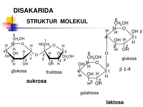 Rumus Kimia Sukrosa Dan Laktosa - Bit CDN