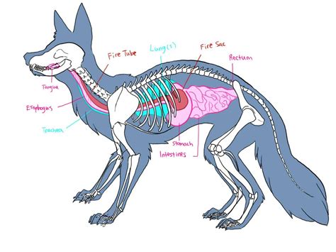 Pin on Animal anatomy - DaftSex HD