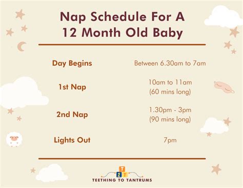 12 Month Old Sleep Schedule: Your Invaluable Guide To Zzz