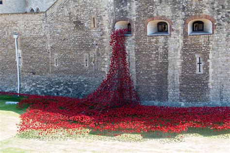 For WWI Anniversary, the Tower of London Has Become Surrounded by a Sea of Poppies | Smithsonian